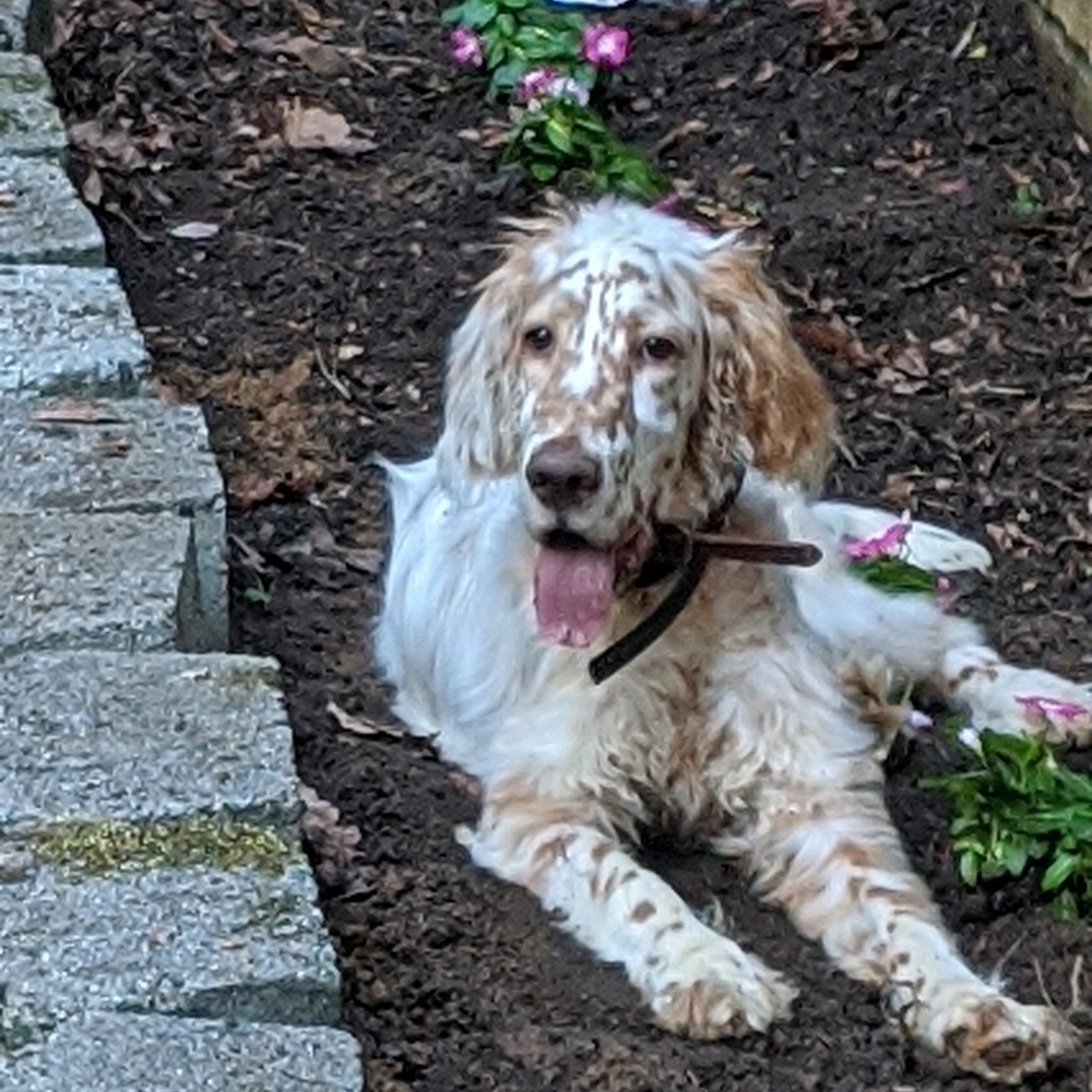 Meet your Posher, Lisa